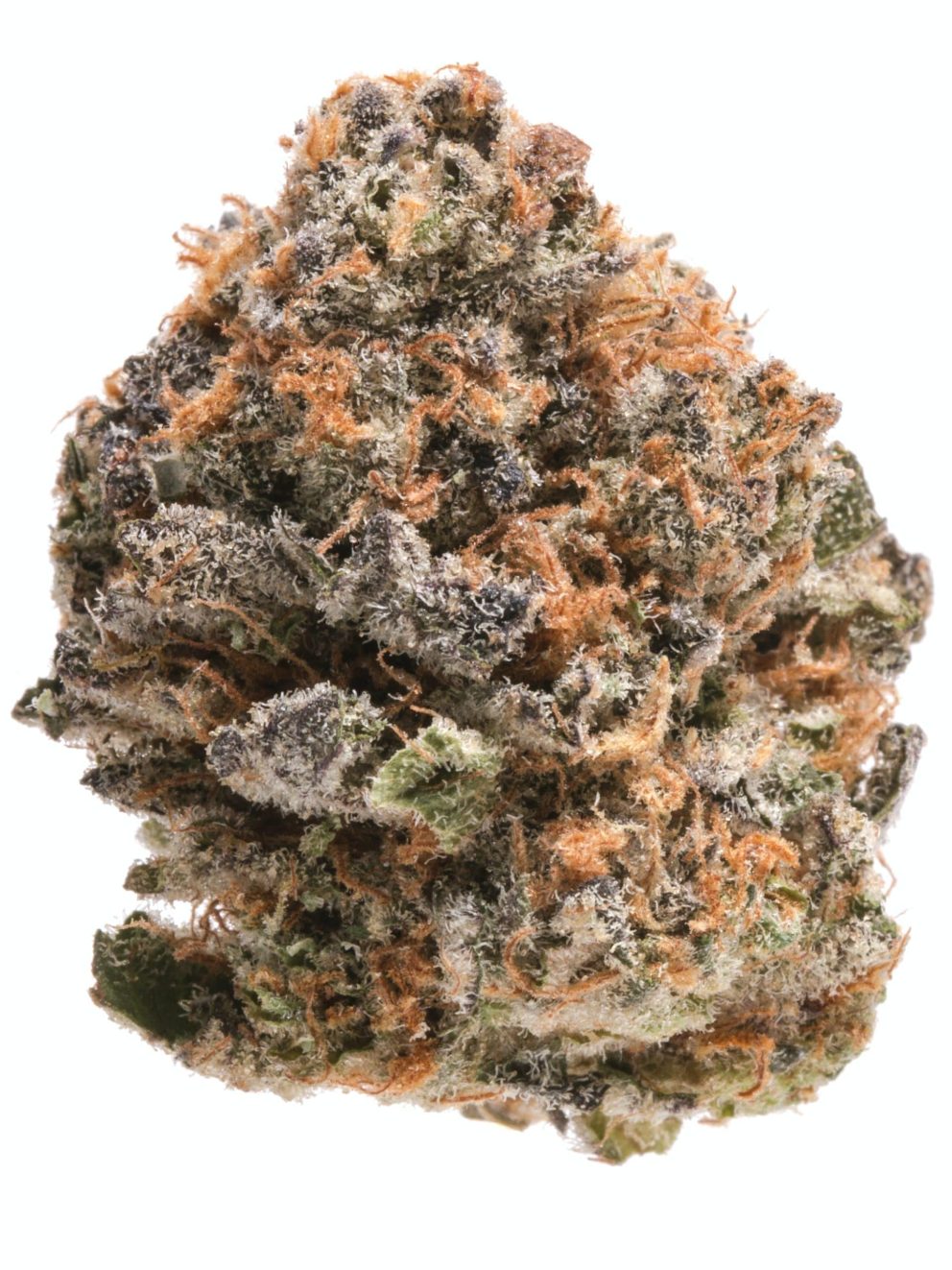 platinum girl scout cookies seeds for sale